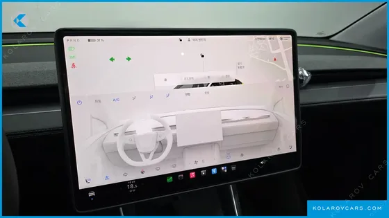 TESLA MODEL Y RWD
