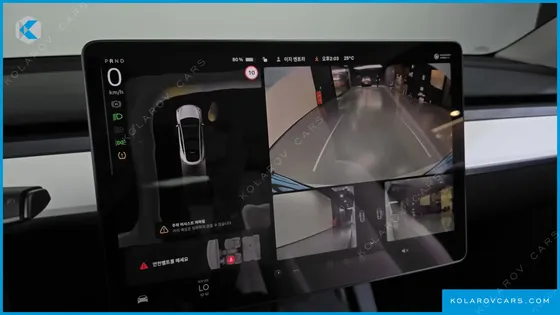 TESLA MODEL Y RWD