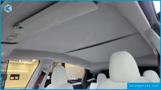 TESLA MODEL Y RWD
