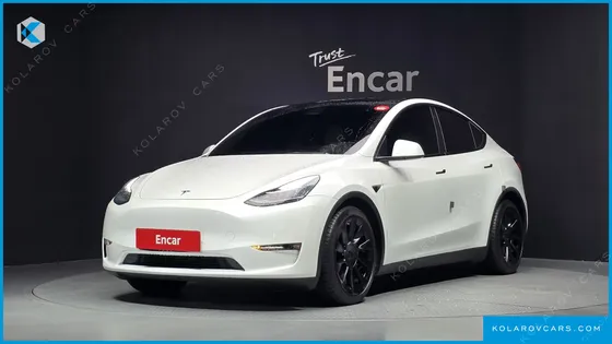 TESLA MODEL Y LONG RANGE AWD