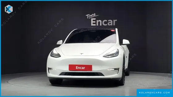 TESLA MODEL Y LONG RANGE AWD