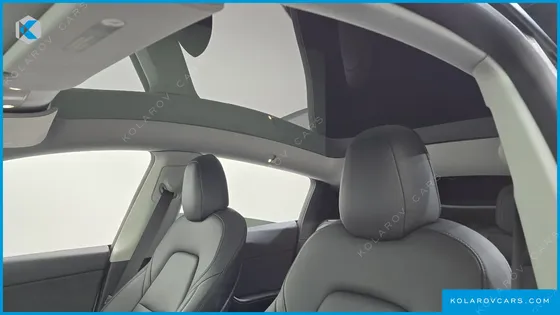 TESLA MODEL Y PERFORMANCE AWD