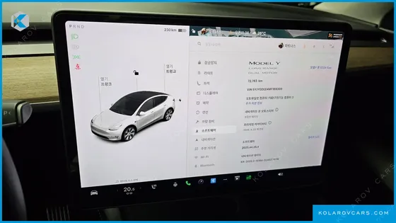 TESLA MODEL Y LONG RANGE AWD