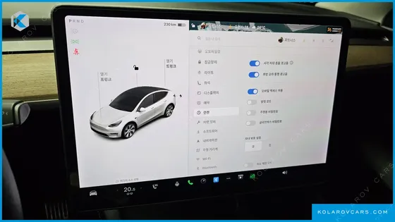 TESLA MODEL Y LONG RANGE AWD