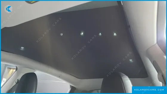 TESLA MODEL Y PERFORMANCE AWD