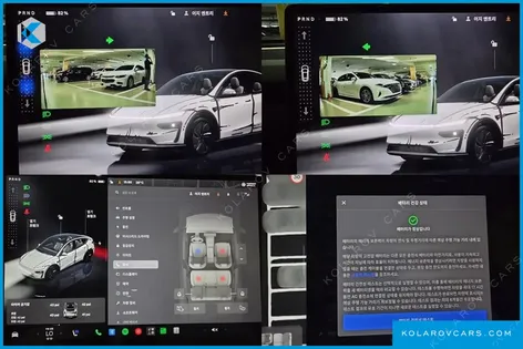TESLA MODEL Y RWD