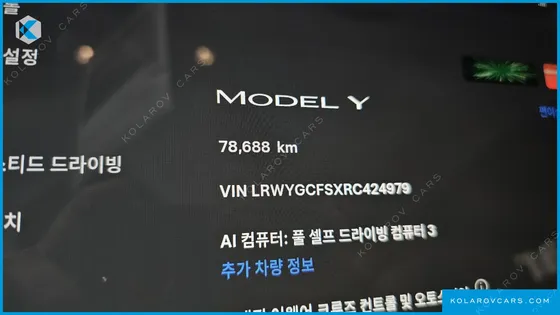 TESLA MODEL Y RWD