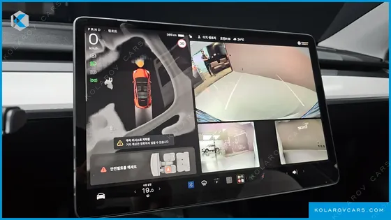 TESLA MODEL Y RWD