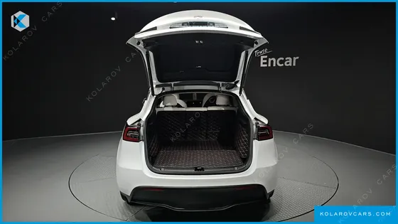 TESLA MODEL Y RWD