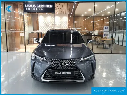 LEXUS UX 2.0 2WD