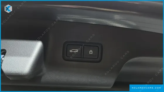 HYUNDAI PALISADE HEV 2.5T 4WD 9-SEATER