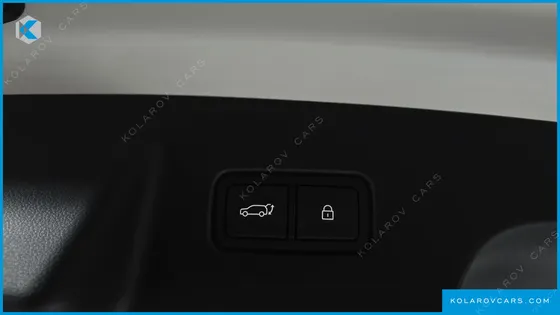 HYUNDAI PALISADE GASOLINE 2.5T 4WD 9-SEATER