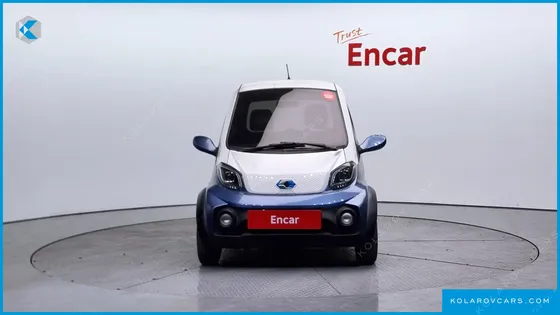 OTHER MANUFACTURERS OTHER PASSENGER CARS OTHERS EV