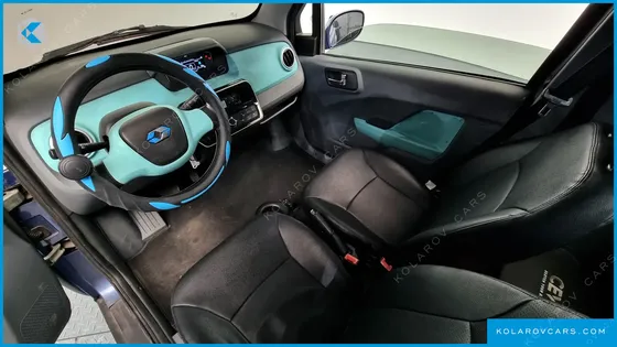 OTHER MANUFACTURERS OTHER PASSENGER CARS OTHERS EV
