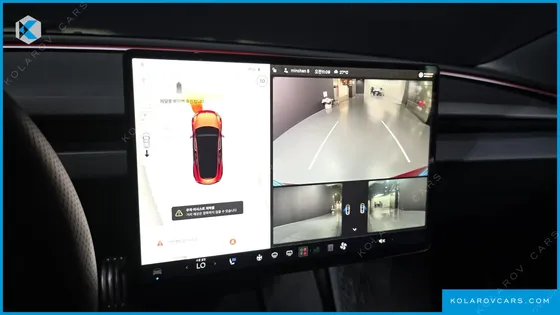 TESLA MODEL 3 PERFORMANCE AWD