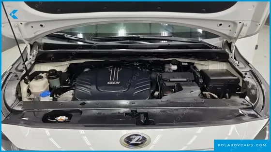 KIA CARNIVAL GASOLINE 9-SEATER HI-LIMOUSINE
