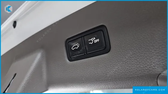 KIA CARNIVAL GASOLINE 7-SEATER HI-LIMOUSINE