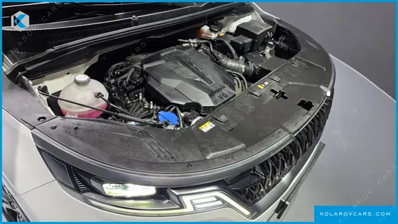 KIA CARNIVAL GASOLINE 9-SEATER HI-LIMOUSINE