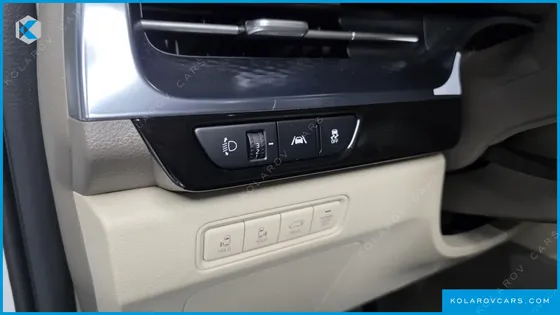 KIA CARNIVAL GASOLINE 9-SEATER HI-LIMOUSINE