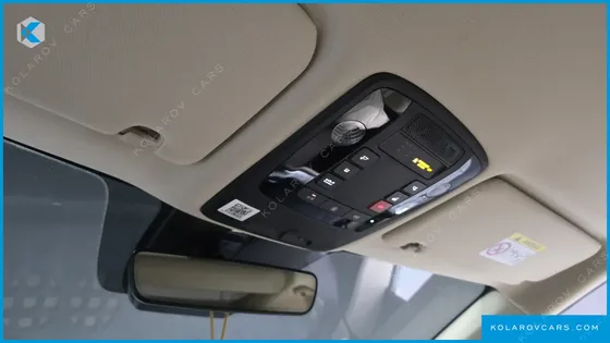 KIA CARNIVAL GASOLINE 9-SEATER HI-LIMOUSINE