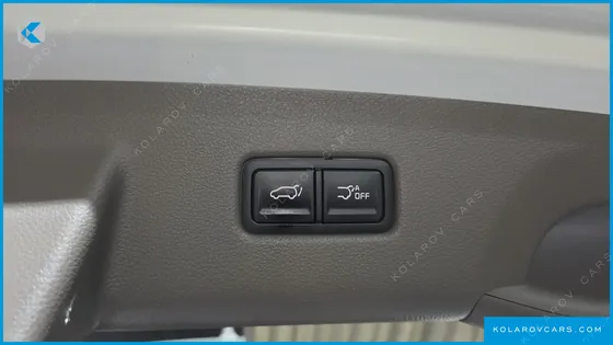 KIA CARNIVAL GASOLINE 9-SEATER HI-LIMOUSINE