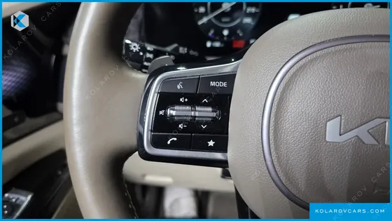 KIA CARNIVAL GASOLINE 9-SEATER HI-LIMOUSINE