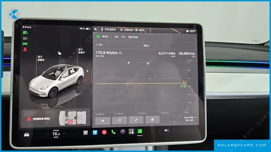 TESLA MODEL Y RWD