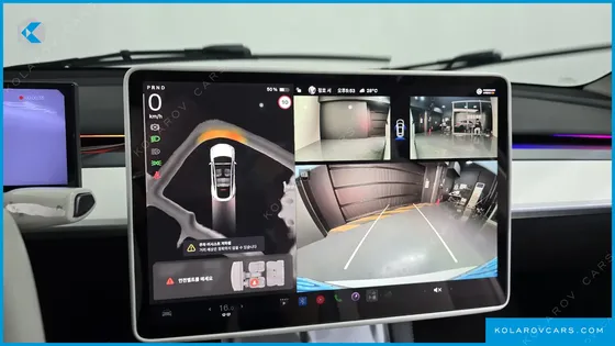 TESLA MODEL Y RWD