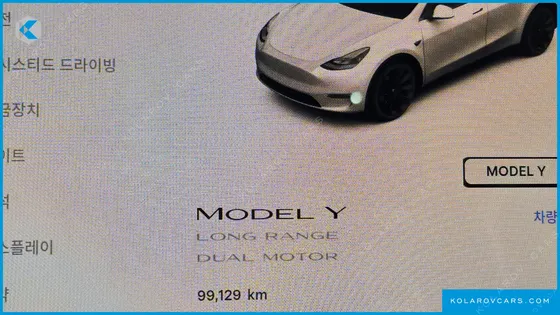 TESLA MODEL Y LONG RANGE AWD