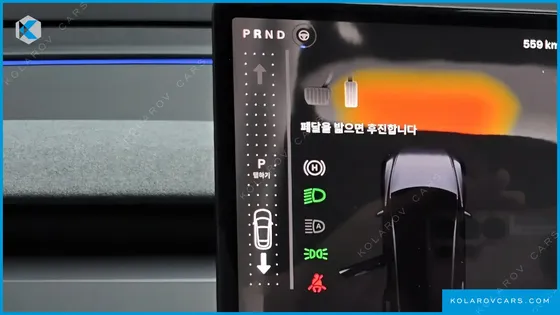 TESLA MODEL Y L LONG RANGE AWD