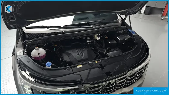 KIA CARNIVAL GASOLINE 7 SEATER X LINE