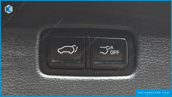 KIA CARNIVAL GASOLINE 9-SEATER SIGNATURE