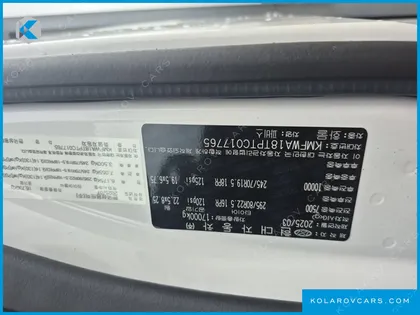 HYUNDAI PAVIS PREMIUM