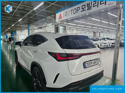 LEXUS NX PREMIUM