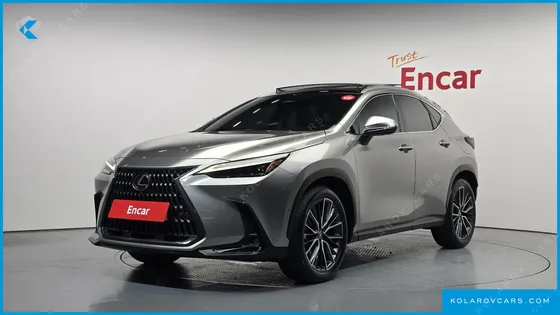 LEXUS NX LUXURY