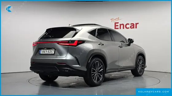 LEXUS NX LUXURY