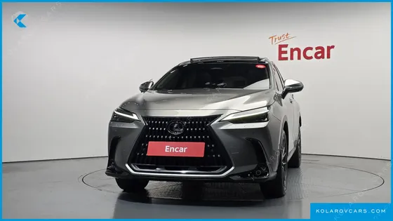 LEXUS NX LUXURY
