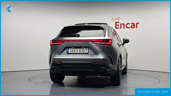 LEXUS NX LUXURY