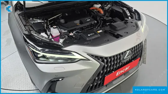 LEXUS NX LUXURY