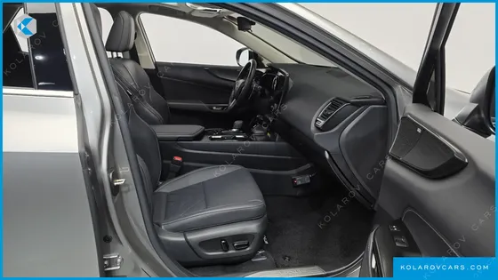 LEXUS NX LUXURY