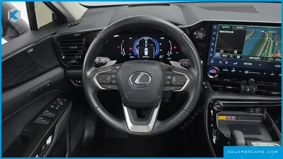 LEXUS NX LUXURY