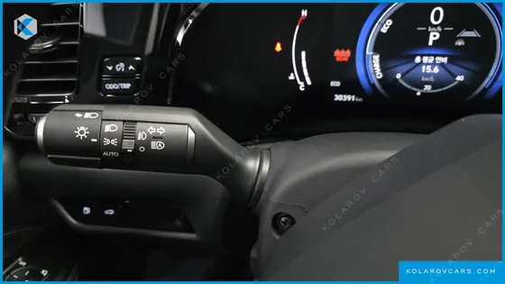 LEXUS NX LUXURY
