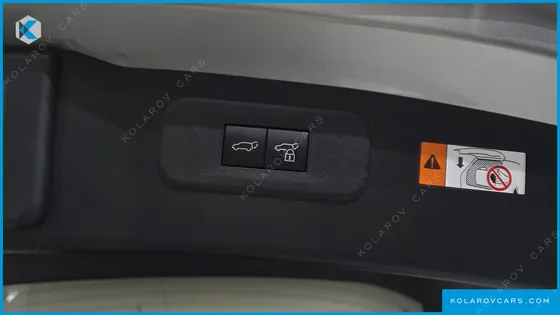 LEXUS NX LUXURY