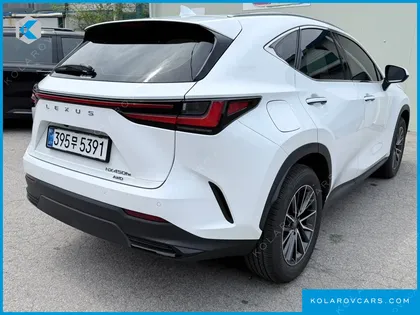LEXUS NX PREMIUM