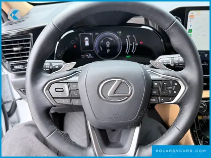 LEXUS NX PREMIUM