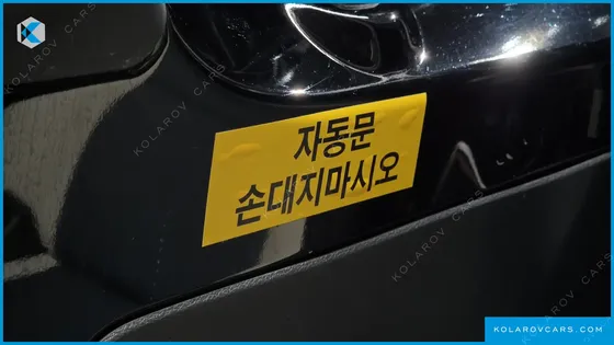 HYUNDAI SOLATI 15-SEATER