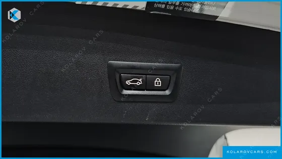 BMW X4 XDRIVE20I M SPORTS X ONLILE EXCLUSIVE EDITION