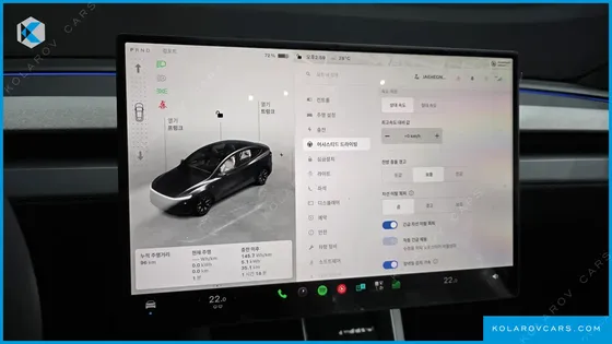 TESLA MODEL Y L LONG RANGE AWD