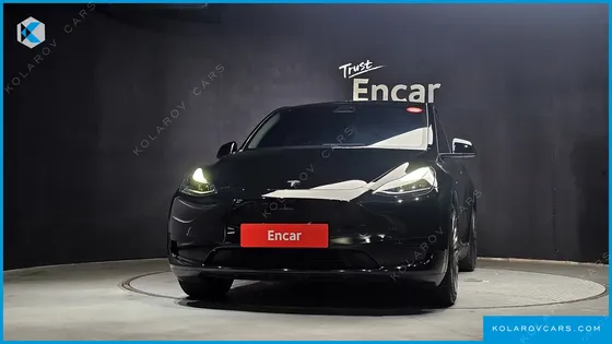 TESLA MODEL Y RWD