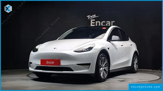 TESLA MODEL Y RWD
